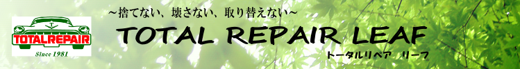Total Repair Leaf